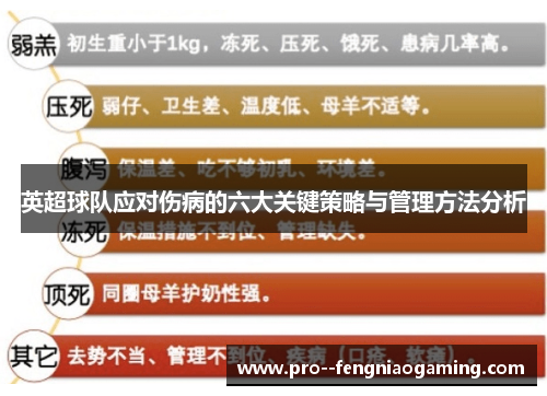 英超球队应对伤病的六大关键策略与管理方法分析