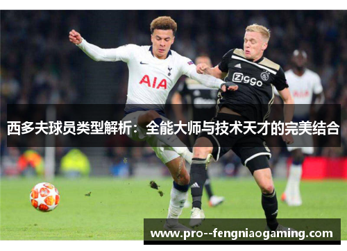 西多夫球员类型解析：全能大师与技术天才的完美结合