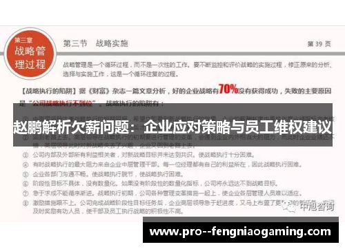 赵鹏解析欠薪问题：企业应对策略与员工维权建议