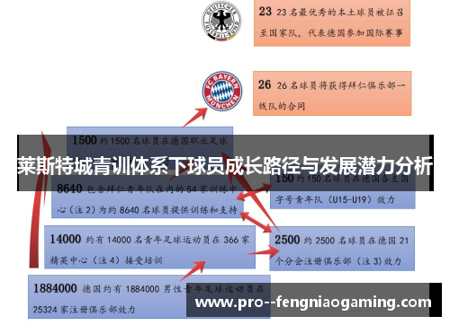 莱斯特城青训体系下球员成长路径与发展潜力分析