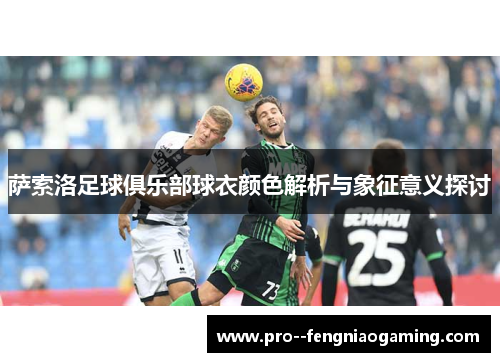萨索洛足球俱乐部球衣颜色解析与象征意义探讨