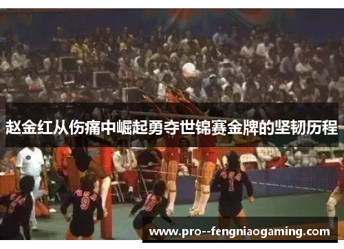 赵金红从伤痛中崛起勇夺世锦赛金牌的坚韧历程