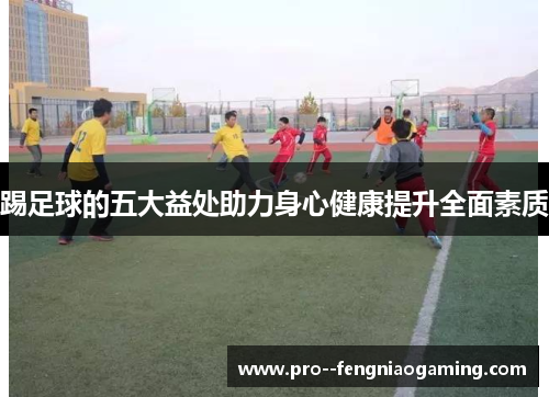踢足球的五大益处助力身心健康提升全面素质